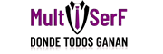 MultiSerF